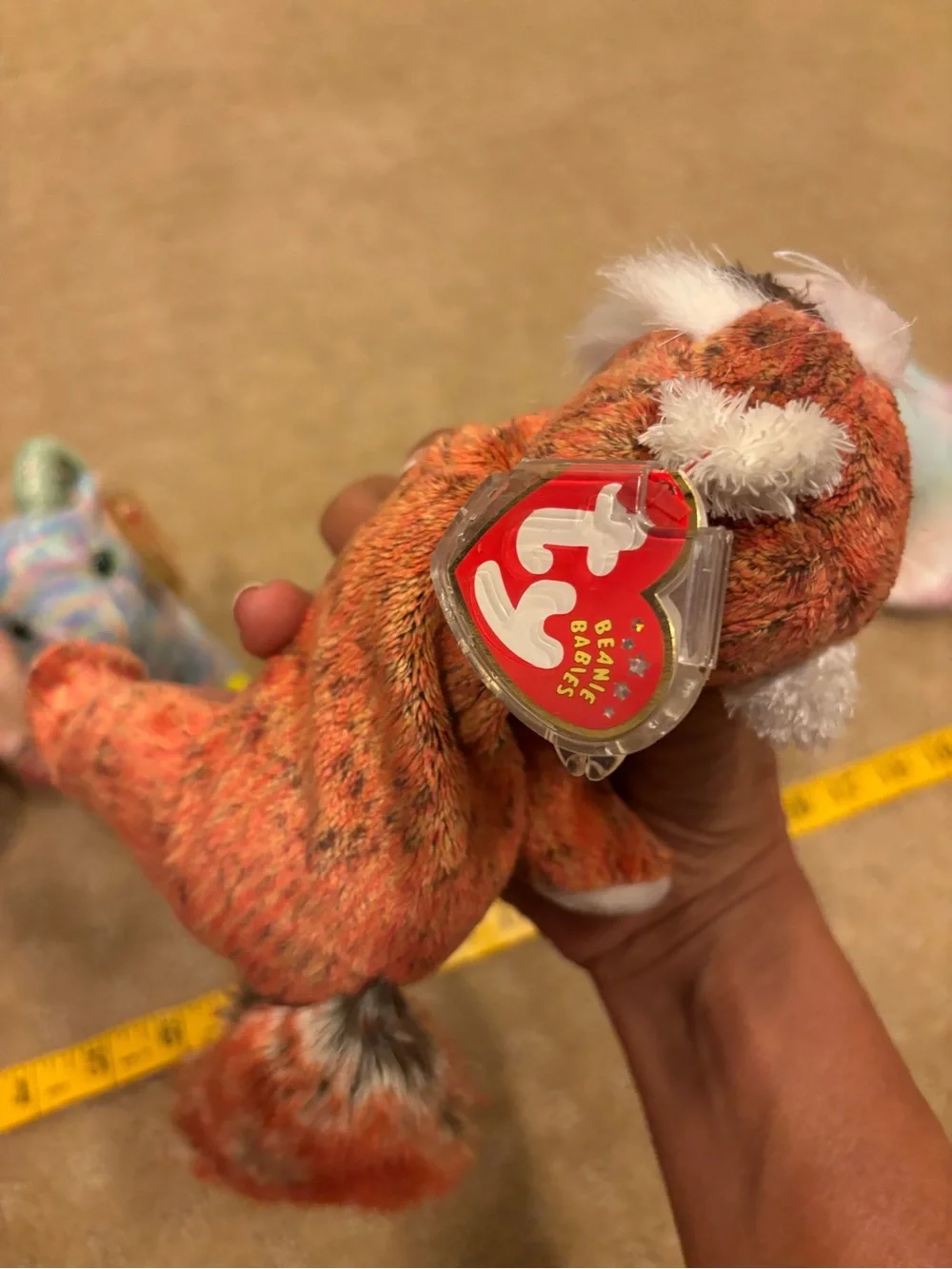 LOT 5 Ty Beanie Babies - Multicolor Plush Animals